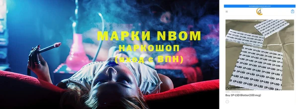 шишки Аркадак