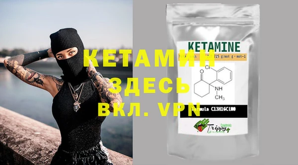 шишки Аркадак