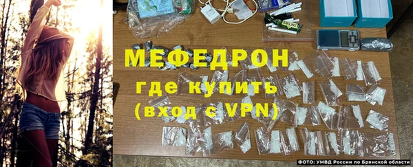 сатива Арсеньев