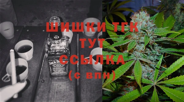 шишки Аркадак
