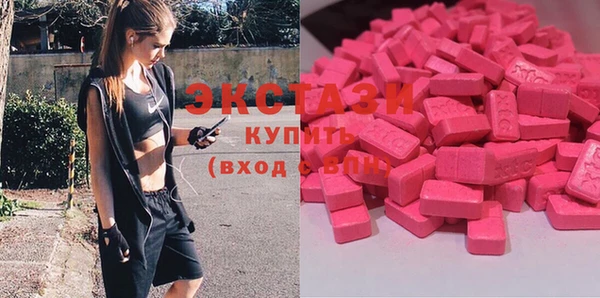 шишки Аркадак