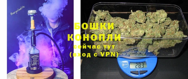 шишки Аркадак