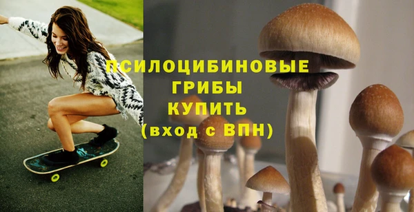 ПСИЛОЦИБИНОВЫЕ ГРИБЫ Армянск