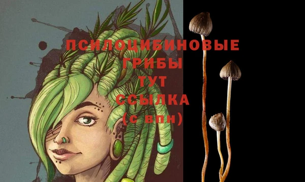 сатива Арсеньев