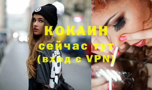 сатива Арсеньев