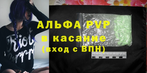 сатива Арсеньев